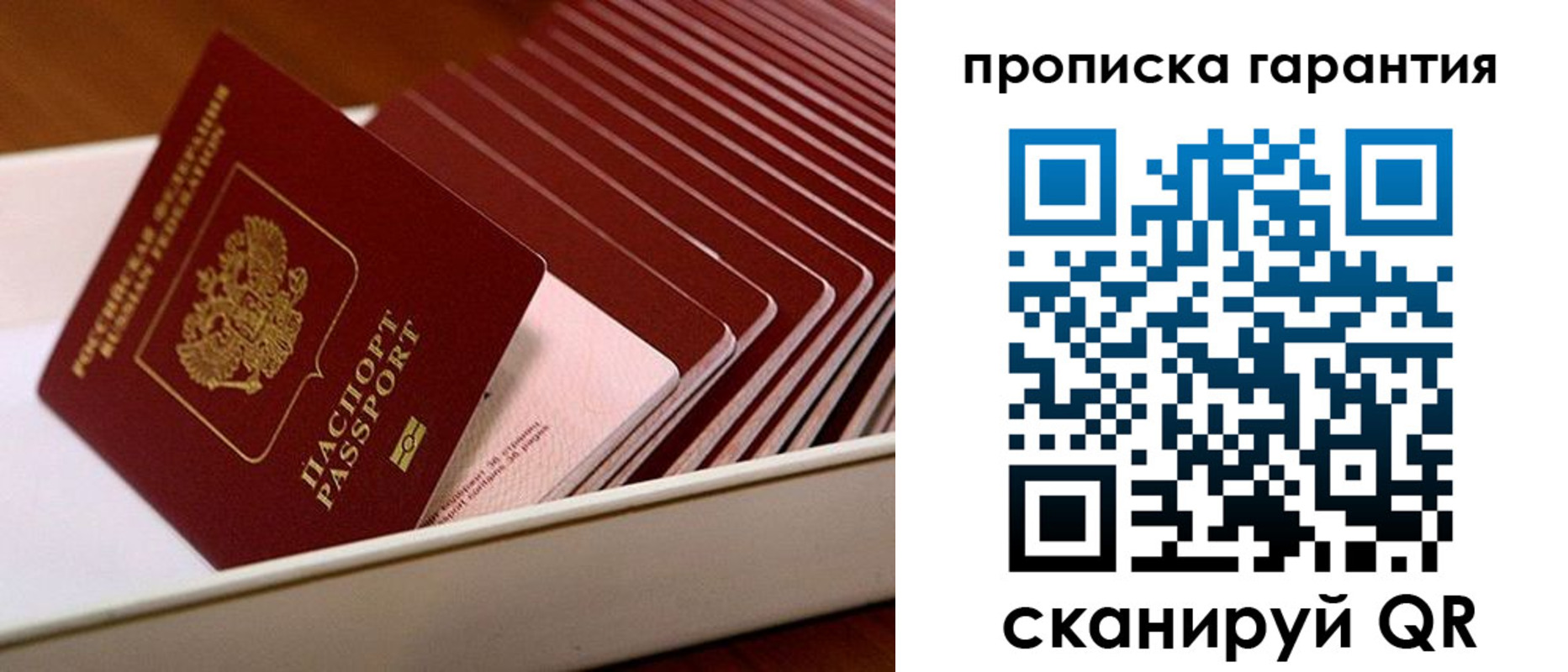 прописка поиск в Рязанской области
